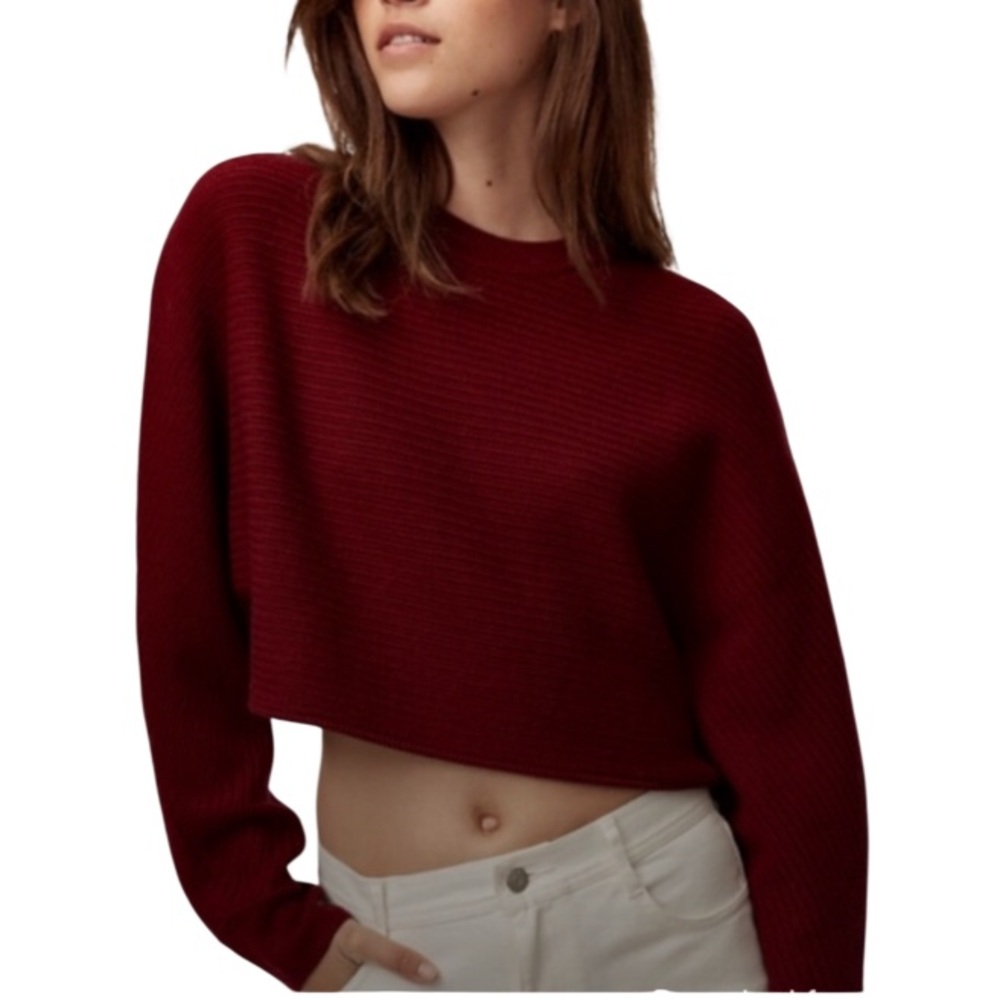 Aritzia Wilfred Free Lolan Cropped Ribbed Merino Wool Sweater